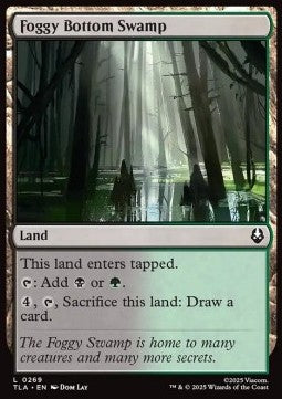 Foggy Bottom Swamp