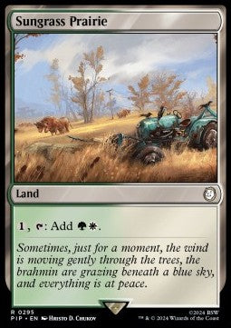 Sungrass Prairie